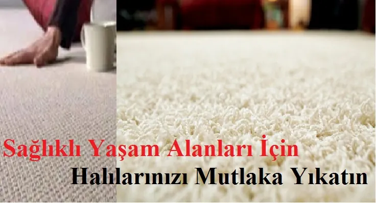 Kilimin kontrollü yöntemle yıkanması